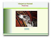 Vesperus Whippet Kennel