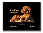 Alfa Pogo Smooth and Wirehaired Vizslakennel