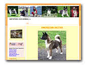 Goldmal's American Akitas