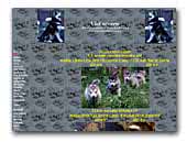 Vlci severu kennel