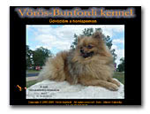 Vörös-Bunfordi German Spitz miniature