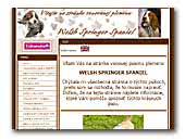 Welsh Springer Spaniels Kennel Minebea
