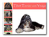 Tibet Terier of Ynaya