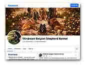 Windream FCI Belgian Shepherd Kennel