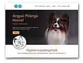 Angyali Pillangó kennel Papillons