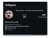 >Bichon Frise Kennel Cynth Emily