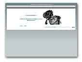 Cane corso Kennel Bohemia Corso