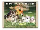 Helena's Band Kennel