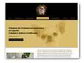 Criadero de Chihuahuas La Reina de Oros