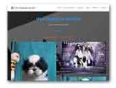 Shihtzu kennel den Magiske Verden