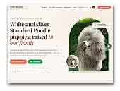 Giant Miracles Standard Poodle