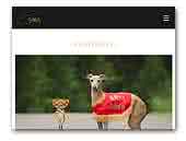 Fightbells Italian Greyhounds FCI