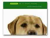 Labrador Retrievers of Cape Makkovik Kennel