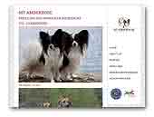 My Ambernose - Papillons and Rhodesian ridgebacks