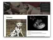 Obonyas-Pride Dalmatians