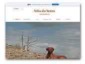 Sitio da Serra - Rhodesian Ridgeback