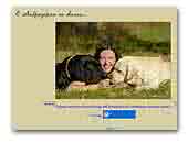 Labrador Retrievers Prado White Send and Applejack's Make The Scene 