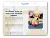 Royal Terrier (FCI) kennel Jack Russell and Welsh Corgi