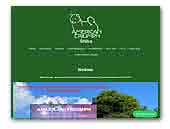 American Triumph Shiba Inu (Belgium)s