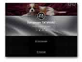 Tatinno Cavalier King Charles Spaniel