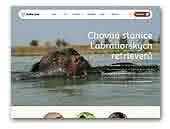 Labrador Retriever Tetrevi dvur Kennel