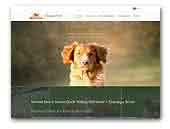 Sharqiya Sand Nova Scotia Duck Tolling Retriever Kennel