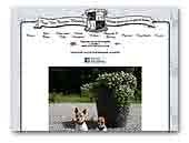 Toy Fox Terrier kennels