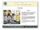 Uraltobet Central Alabai