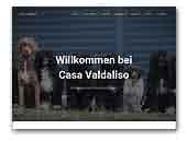 Kennel Casa Valdaliso Portuguese Water Dog