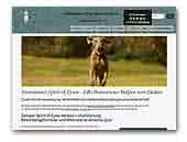 Weimaraner from Spirit-of-Eywa