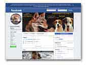 Amberwolfroyalty Jack Russel Terrier and Czechoslovakian wolfdog