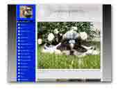 Altan Meng Shih Tzu Kennel