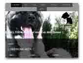 All For Almighty' FCI/UKU American akita kennel