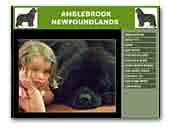 Amblebrook Newfoundlands