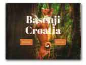 basenji-croatia.com