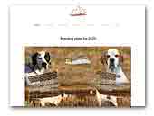 BeagPoint kennel - Beagles and English Pointer
