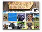 Blackthorn Gundogs Labrador Retrievers