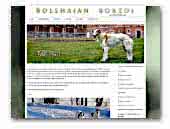 Bolshajan borzoi