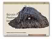 Borzos Puli Pestimrei kennel