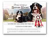 Bohemia Hagrid Bernese Mountain Dog