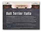 bullterrieritalia.it