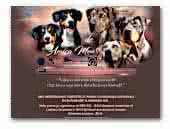 Kennel de Amica Mea (DAM`s kennel) Louisiana Catahoulas and Entlebucher