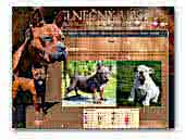 'Slnecny Luc FCI - Bulldog & Chongqing Dog