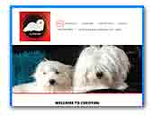 Cukoton - Coton de Tulear