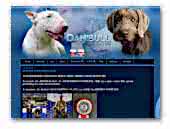 Danibull - Slovakian wire haired pointer