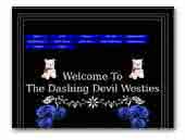 The Dashing Devil's west highland white terriers