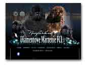 Newfoundlands Diamentowe Marzenie FCI