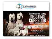 De Ultimo Corredor - Dogo Argentino Kennel