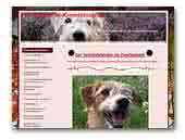 Cukoton - Coton de Tulear