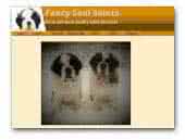 Fancy Soul Saint Bernards